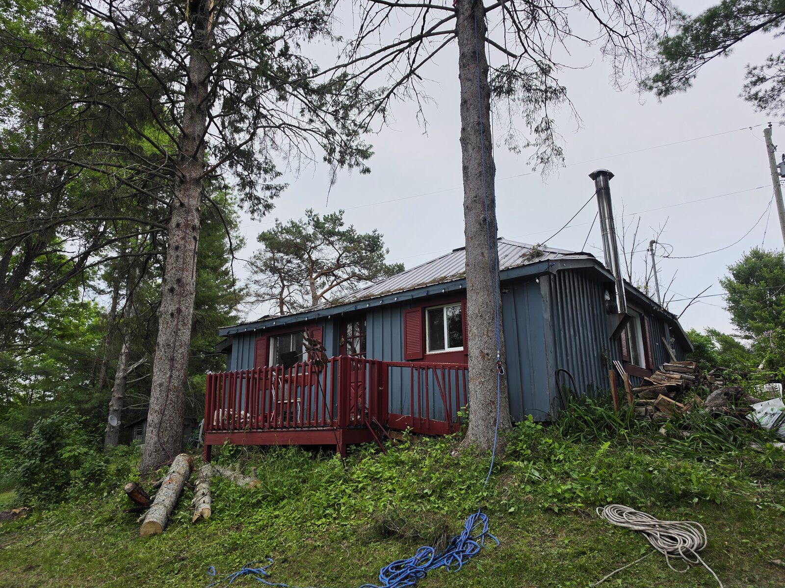 Storm-Damaged Tree on Cabin - After