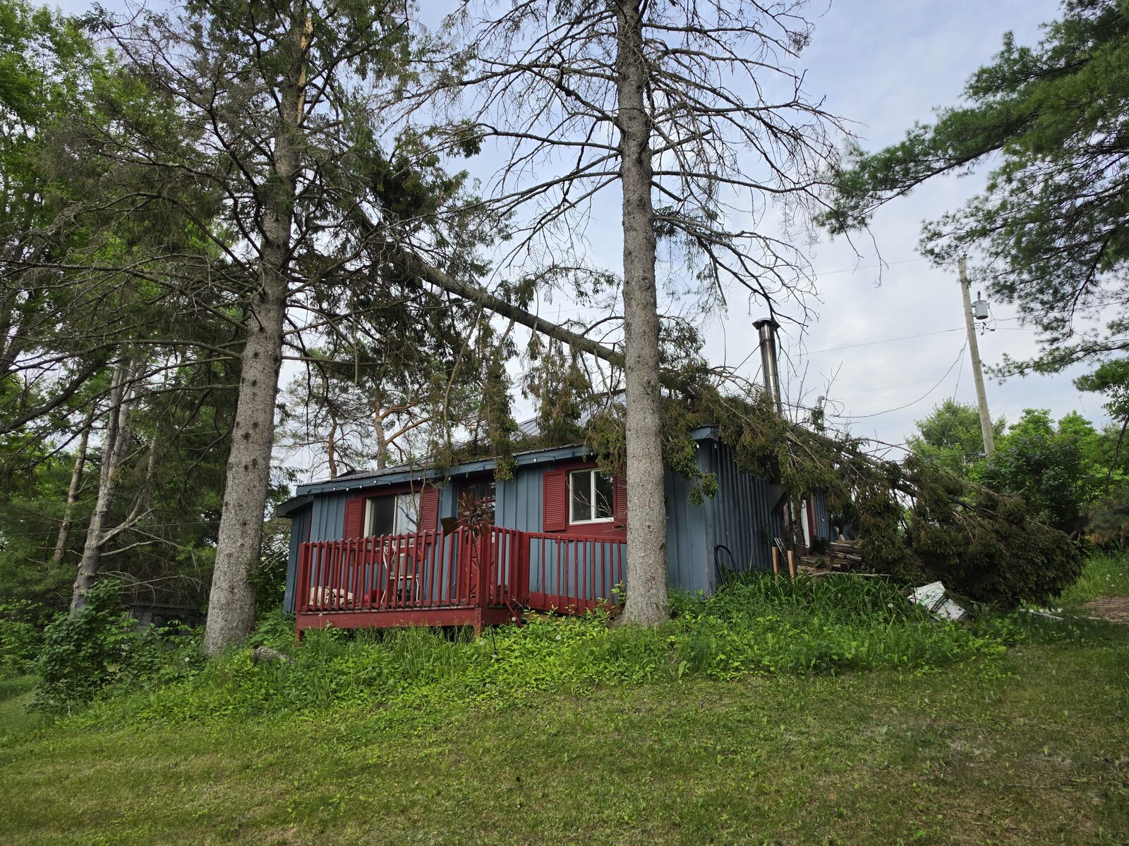 Storm-Damaged Tree on Cabin - Before