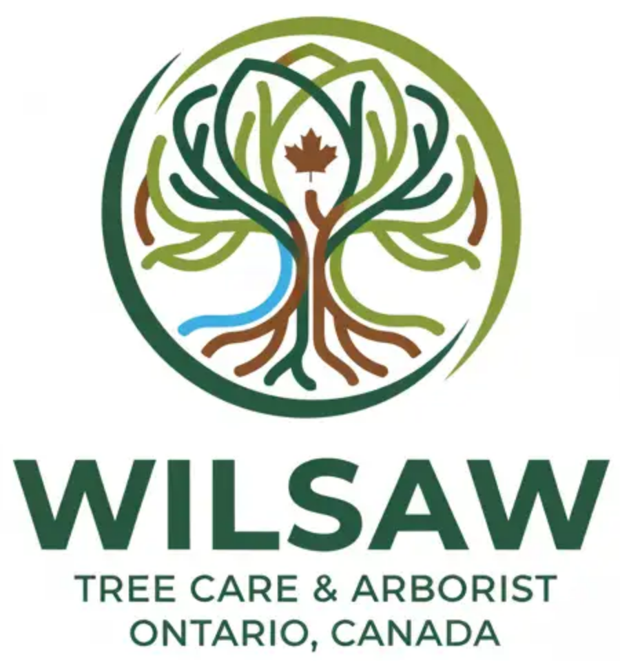 Wilsaw Tree Care & Arborist - Ontario, Canada