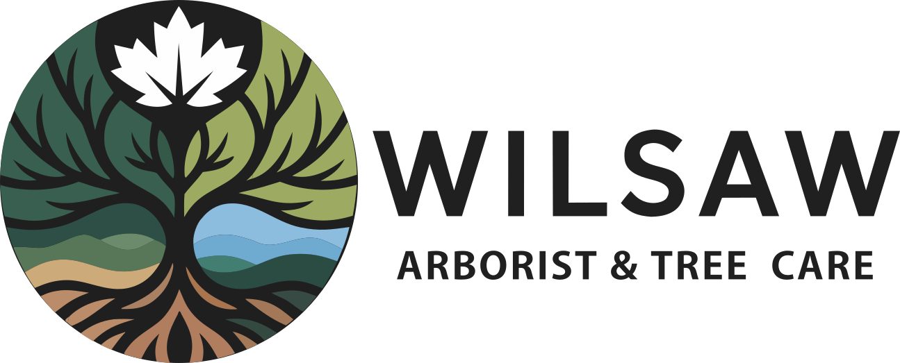 Wilsaw Tree Care & Arborist - Ontario, Canada