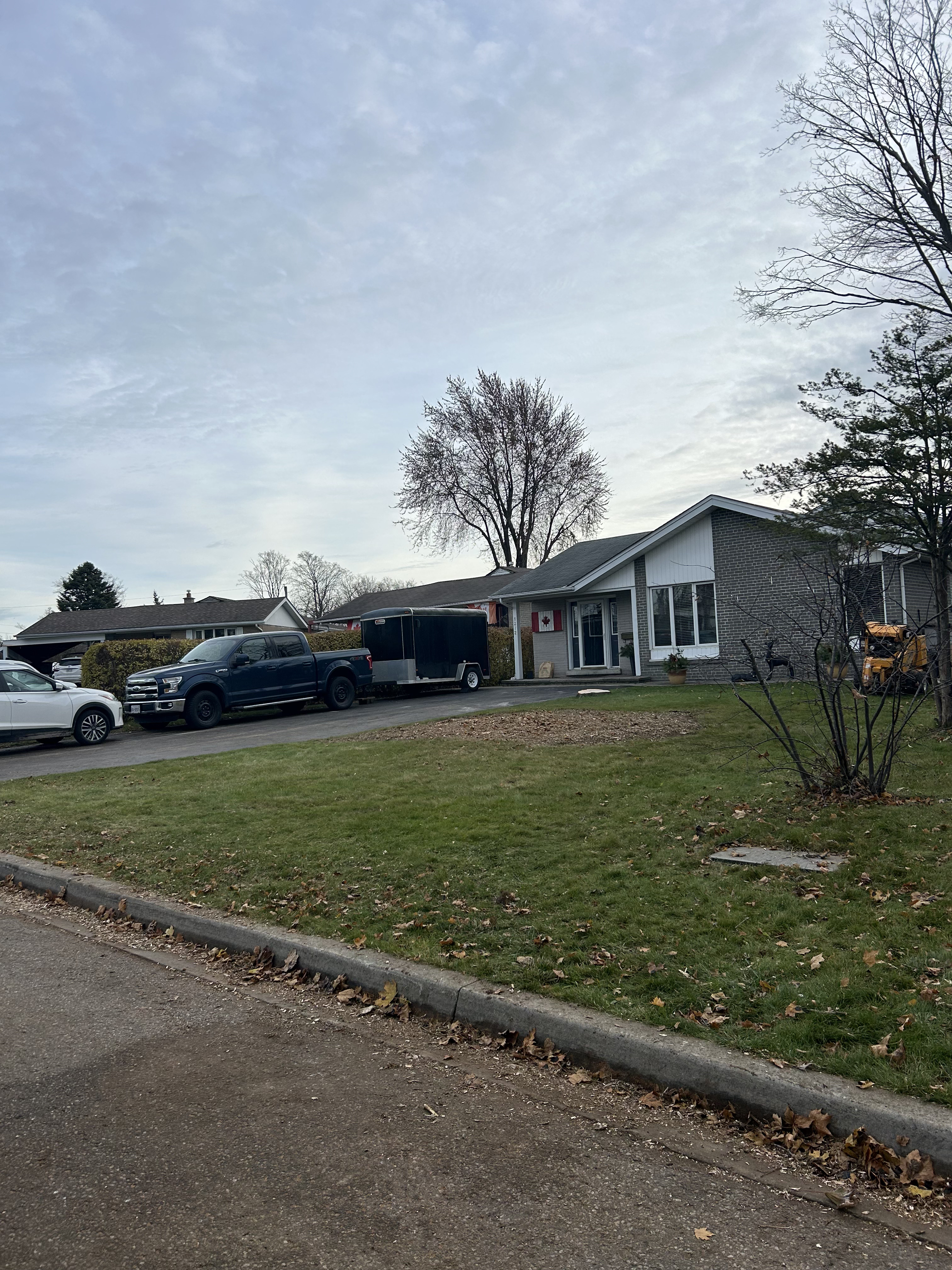 Backyard Tree Removal - After