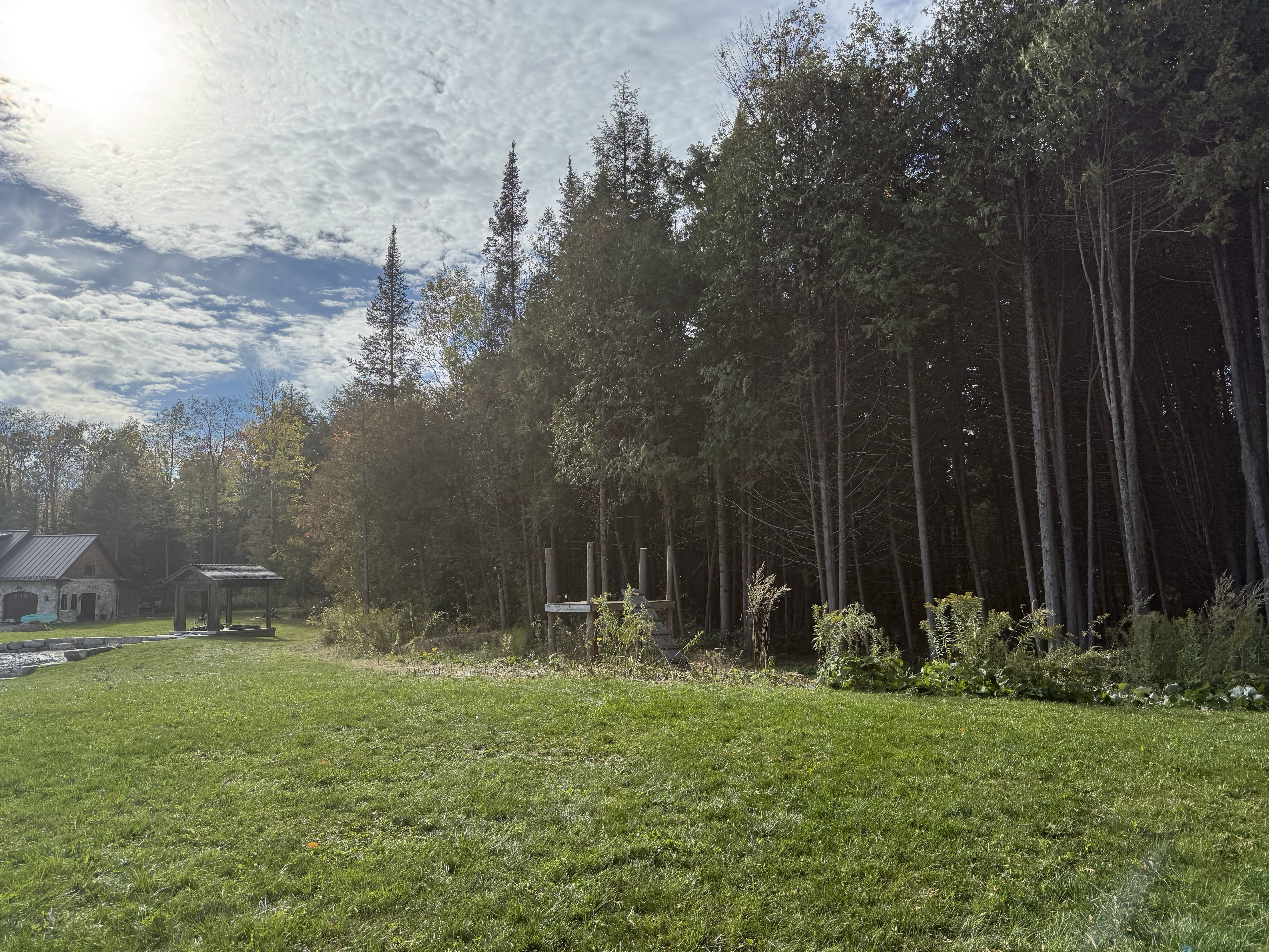 Crown Trimming & Shaping - After