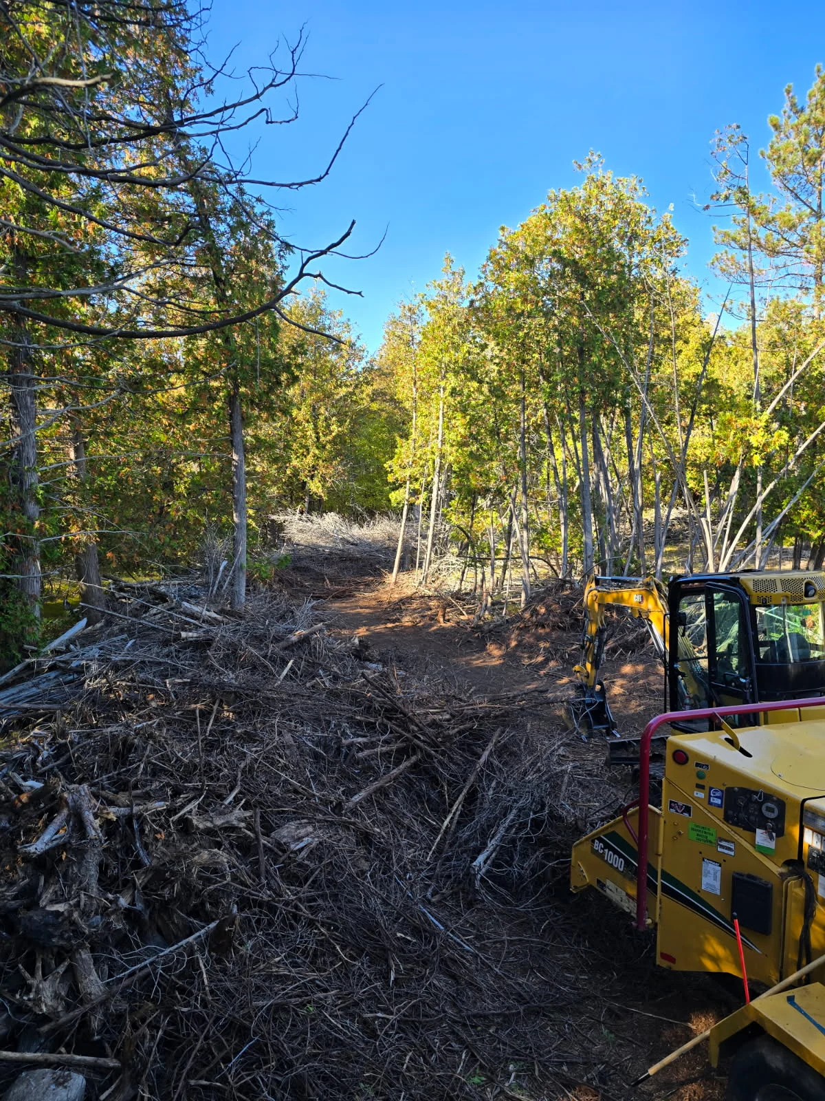 The same lot after clearing, with clean, level, construction-ready ground